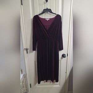 Elegant Velvet Burgundy Dress